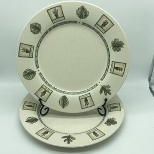 Portfolio Pfaltzgraff Naturewood Dinner Plates 11" Set Of 2 Vintage Stoneware